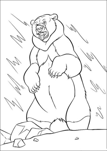 The Bear  Coloring Page